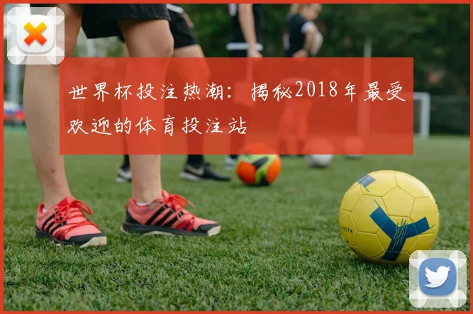 世界杯投注热潮：揭秘2018年最受欢迎的体育投注站