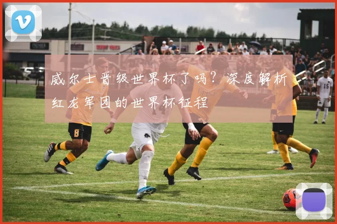 威尔士晋级世界杯了吗？深度解析红龙军团的世界杯征程