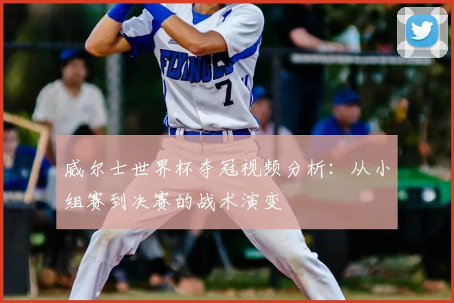 威尔士世界杯夺冠视频分析：从小组赛到决赛的战术演变