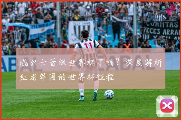 威尔士晋级世界杯了吗？深度解析红龙军团的世界杯征程