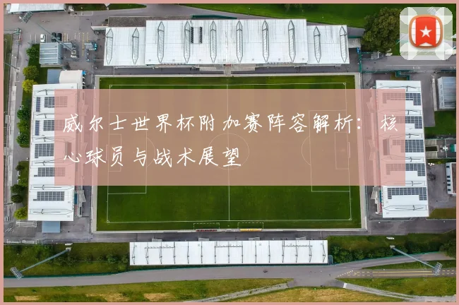 威尔士世界杯附加赛阵容解析：核心球员与战术展望