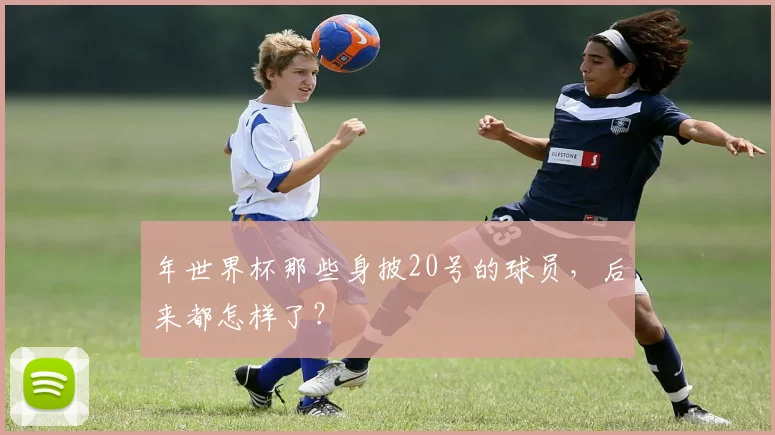 年世界杯那些身披20号的球员,后来都怎样了?