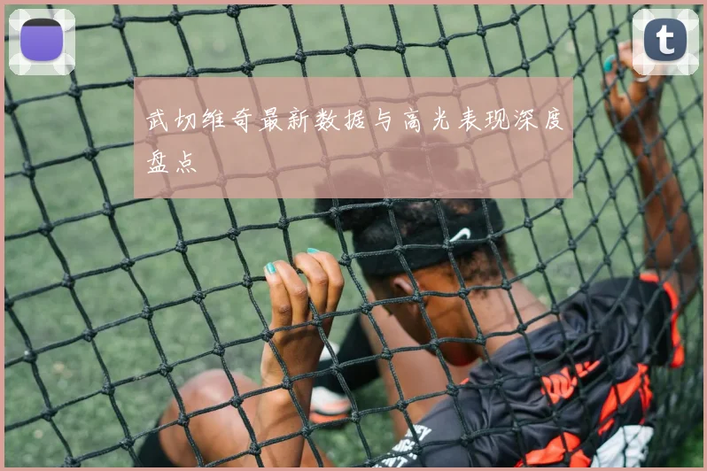 武切维奇最新数据与高光表现深度盘点