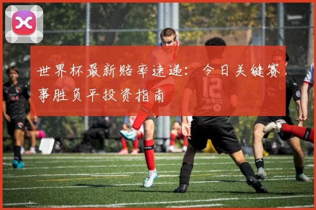世界杯最新赔率速递:今日关键赛事胜负平投资指南